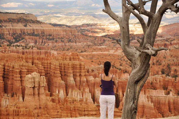 Woman at the Bryce Canyon — Stock Photo, Image