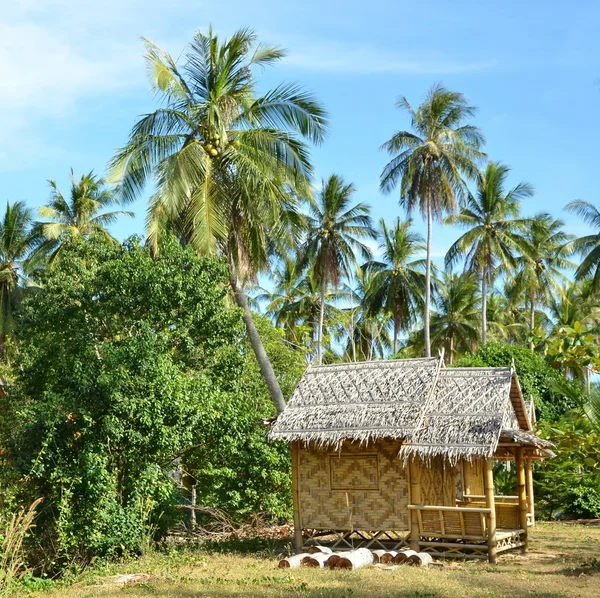 Litle bamboe huis — Stockfoto
