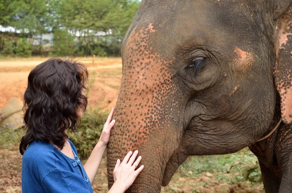 Vänskap mellan kvinnan och elefant — Stockfoto