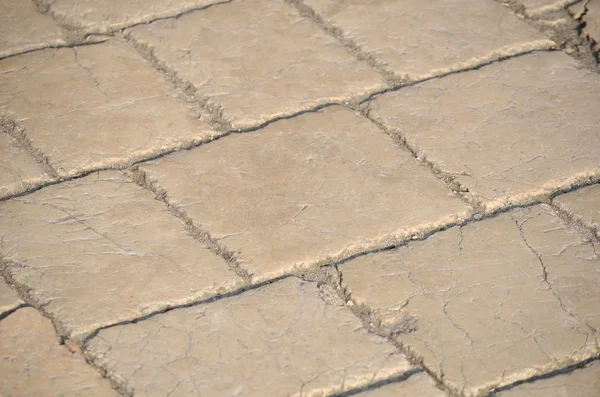Paving stone texture — Stock Photo, Image