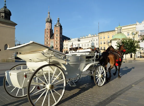 Carruagem de cavalos krakow Polónia — Fotografia de Stock