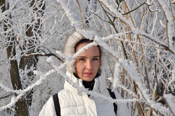 Mulher gelada no inverno — Fotografia de Stock