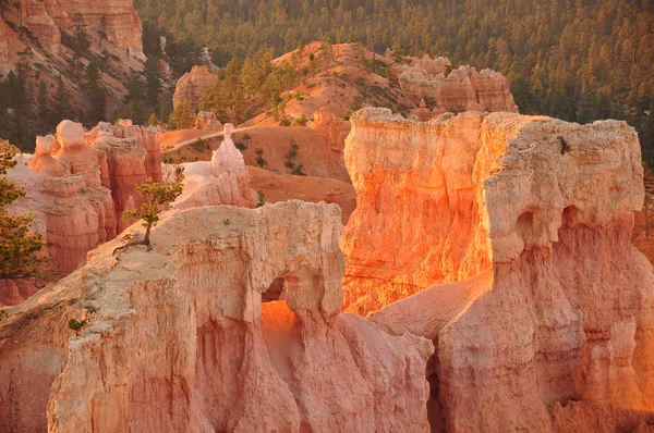 Sunrise bryce canyon hammare — Stockfoto