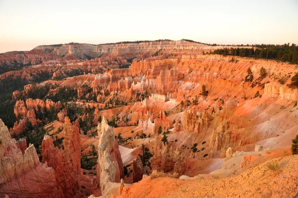 Bryce canyon soluppgång — Stockfoto