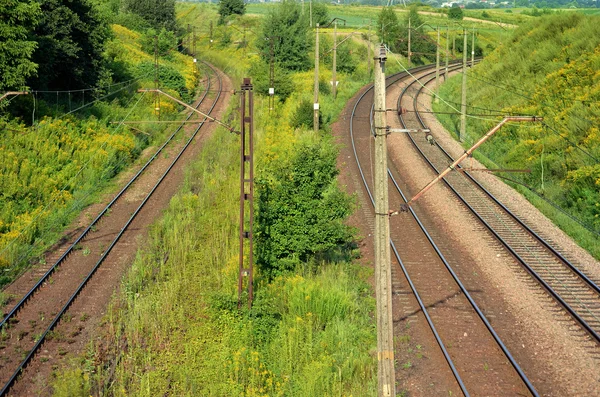 Railway tracks and power lines — Stock Photo, Image