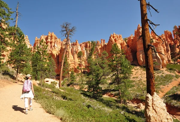 Hiking Bryce Canyon USA — Stock Photo, Image