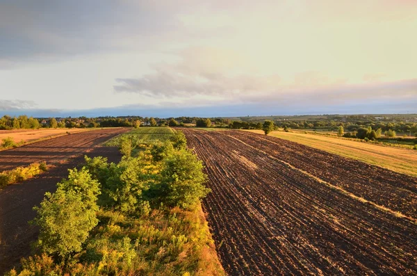 Paesaggio di campo sotto il sole — Foto Stock