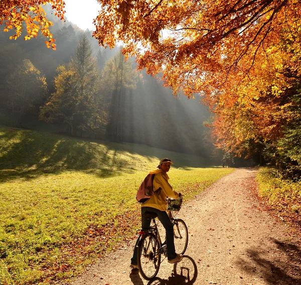 Passeio na floresta de outono — Fotografia de Stock