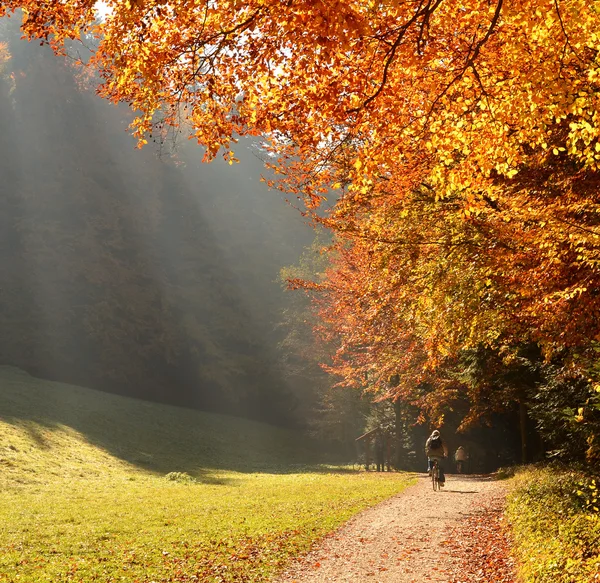 Fiets ik herfst — Stockfoto