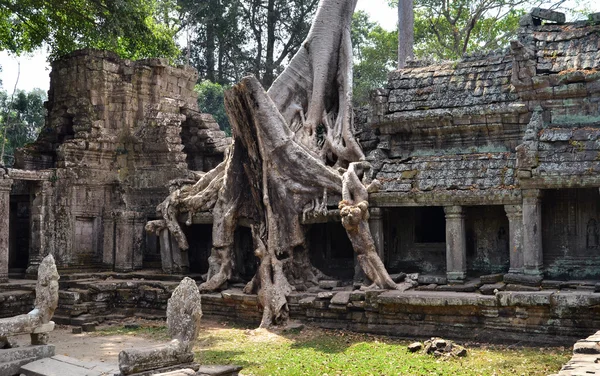 Preah khan Kambodży — Zdjęcie stockowe