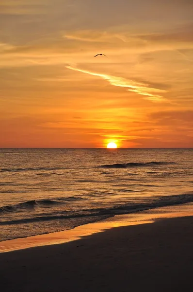 Восход солнца на Карибском пляже — стоковое фото