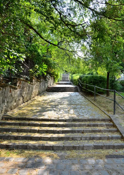 Stone stairs — Stock Photo, Image