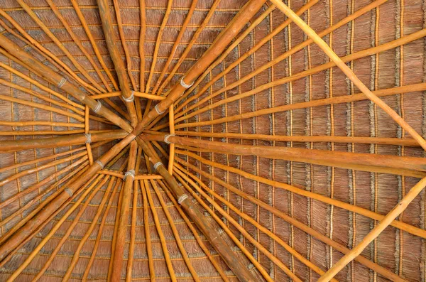 ヤシの木の屋根 — ストック写真