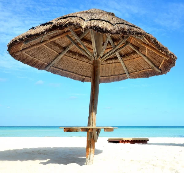 Palm tree roof — Stock Photo, Image