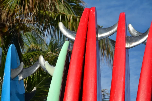 Stack av surfbrädor — Stockfoto