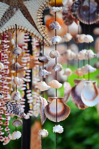 Seashell decorations — Stock Photo, Image