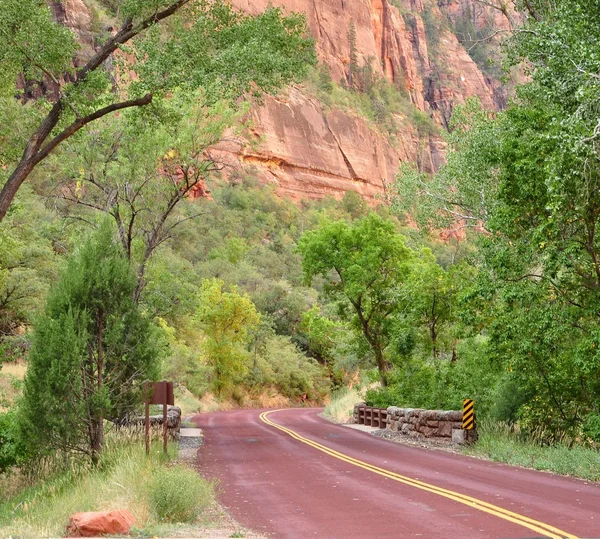 Red road in Zion — Stock Photo, Image