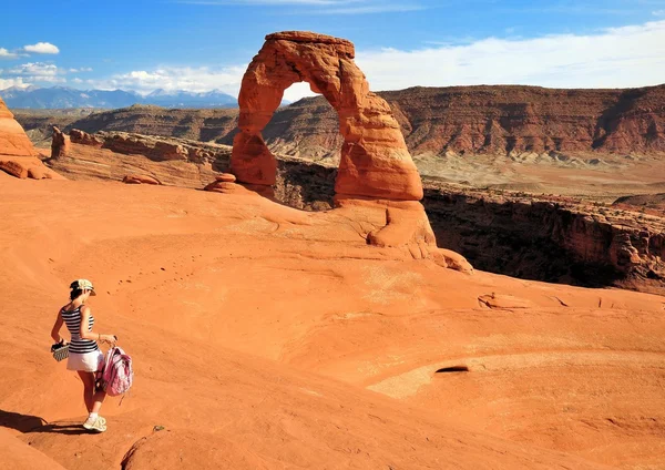 Arco delicado — Fotografia de Stock