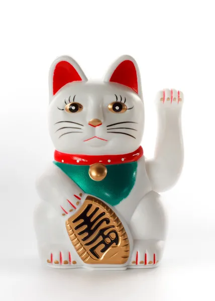 White lucky cat, Maneki-neko — Stock Photo, Image