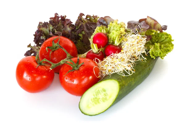 Lettuce, tomatoes, radishes, cucumber and alfalfa — Stock Photo, Image