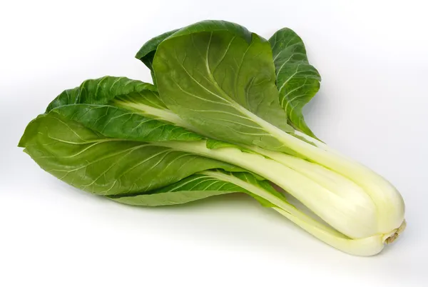 Bütün pak choi (Brassica rapa)