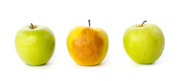 çürük elma arasında iki sağlıklı elma