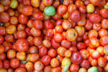 arka plan çekilen domates