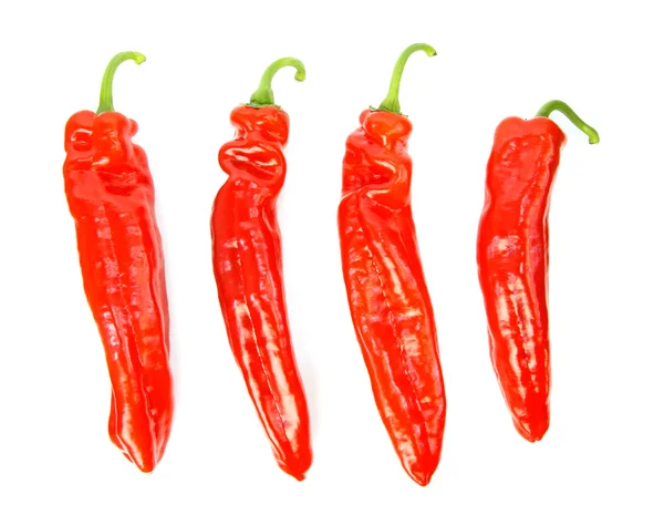 Four pointed peppers in a row — Stock Photo, Image