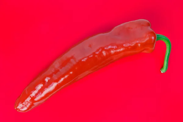 One pointed pepper — Stock Photo, Image