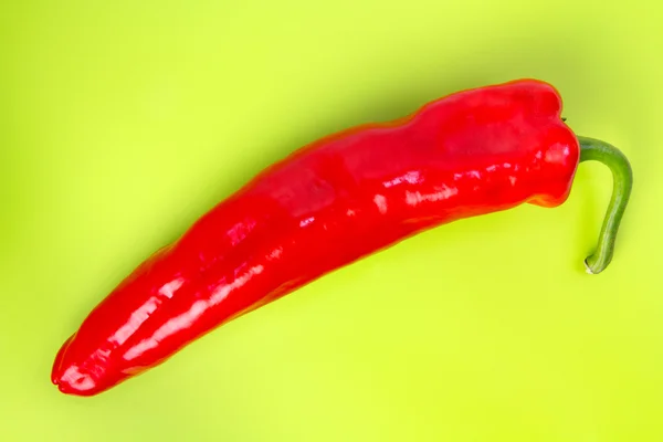 Large pointed pepper — Stock Photo, Image