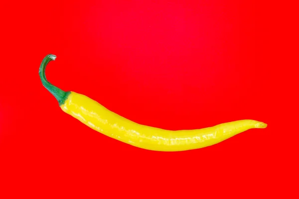 Single yellow spanish pepper — Stock Photo, Image