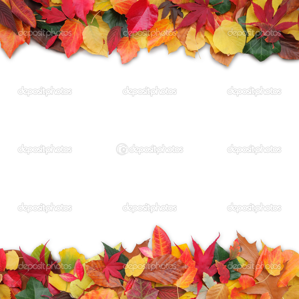 Colorful autumn leaves and copy space