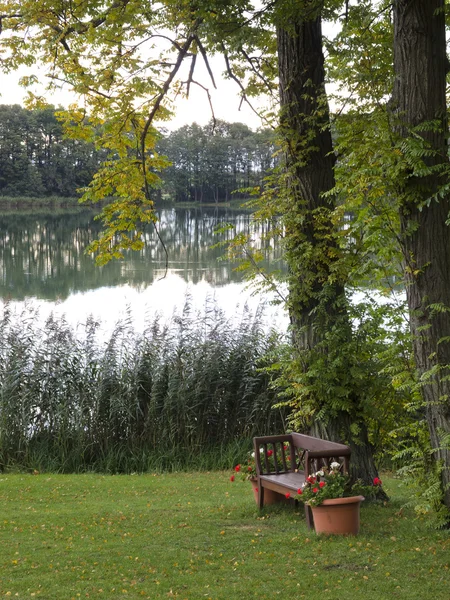 Ławce w parku nad jeziorem — Zdjęcie stockowe