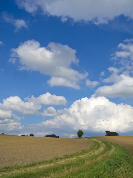 Agrarlandschaft — Stockfoto