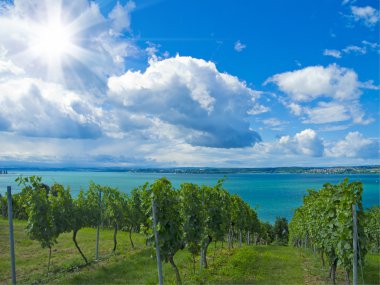 Lakeside bağ