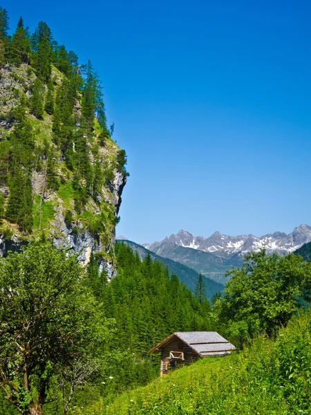 Dağlarda eski ahşap evi — Stok fotoğraf