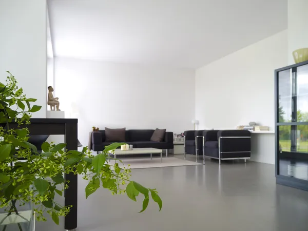 Living room with indoor plant — Stock Photo, Image