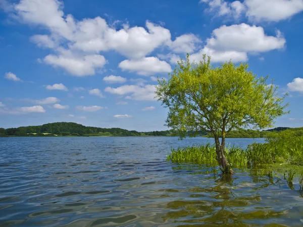 Krajobraz nad jeziorem — Zdjęcie stockowe