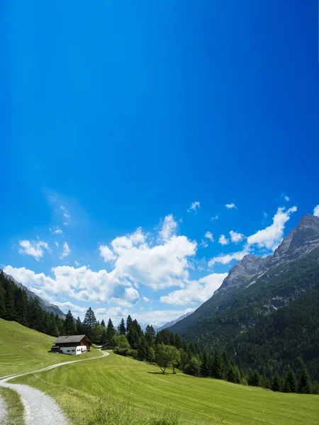 Drogi kraj alpejski z wiejskim domu — Stockfoto