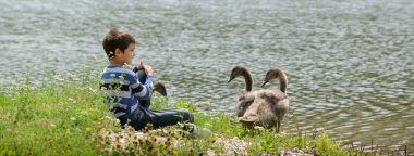 kuğular için konuşuyor