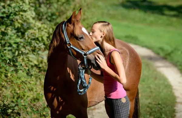 Beijo de cavalo — Fotografia de Stock