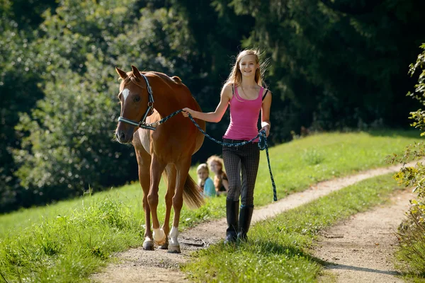 Walking the horse — Stock Photo, Image