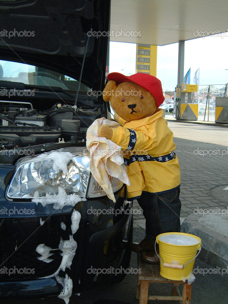 teddy in car