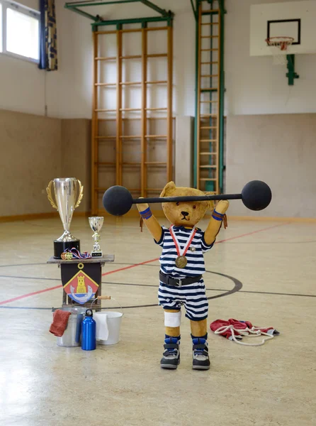 Teddy como atleta de força Fotos De Bancos De Imagens