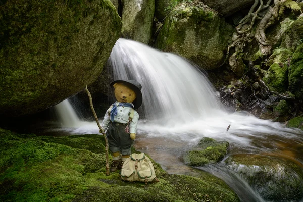 Nature Walker Teddy Bear — Stock Photo, Image