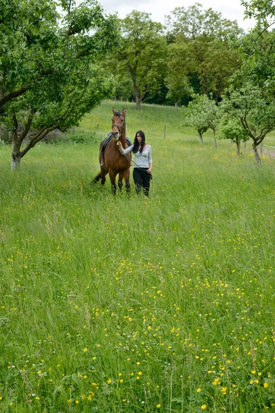 Jinete con caballo en primavera — Foto de Stock