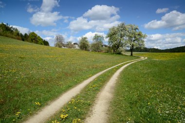 Bahar yürüyüşte upper Austria