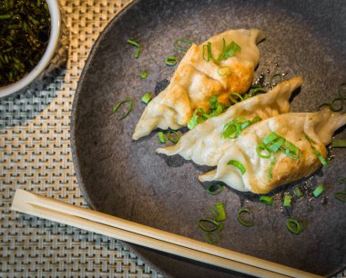 Güzel bir gyoza ya da soya soslu hamur tatlısı, seçici odaklanma, kopyalama alanı.