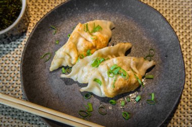 Güzel bir gyoza ya da soya soslu hamur tatlısı, seçici odaklanma, kopyalama alanı.