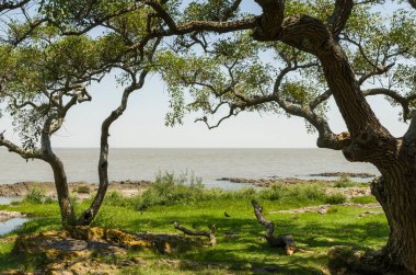 Colonia del Sacramento, Uruguay 'da önemli bir turizm merkezi..